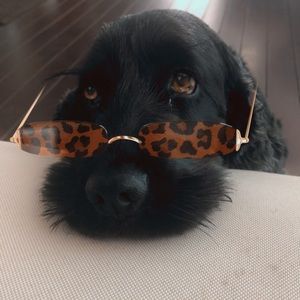 Meet your Posher, Lucy